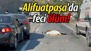 Geyve Alifuatpaşa'da feci ölüm!