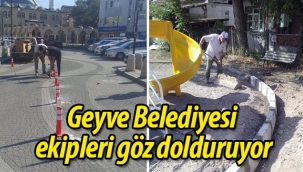Geyve Belediyesi ekipleri göz dolduruyor