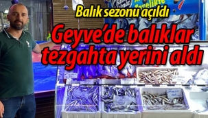 Geyve'de balıklar tezgahta yerini aldı
