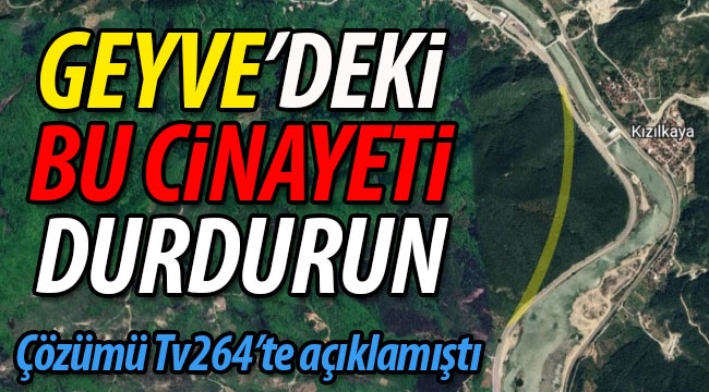 Geyve'deki bu cinayeti durdurun! İşte çözüm..