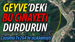 Geyve'deki bu cinayeti durdurun! İşte çözüm..