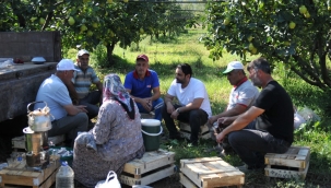 Gürkan Kar, Doğantepe'de ayva hasadına katıldı