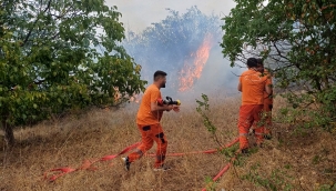Hırka'da arazide çıkan yangın söndürüldü