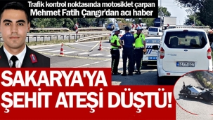 Sakarya'ya şehit ateşi düştü!