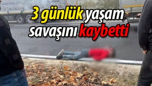 3 günlük yaşam savaşını kaybetti!