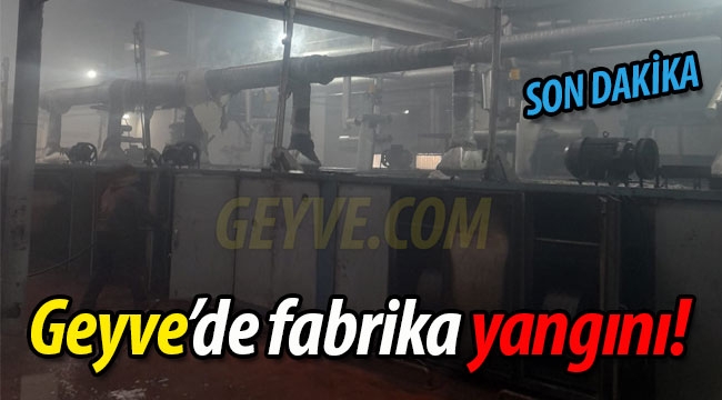 Geyve'de fabrika yangını!