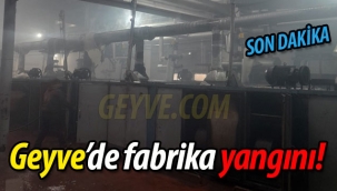 Geyve'de fabrika yangını!