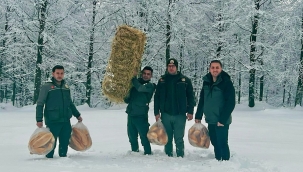 Geyve ormanlarında hayvanlara yem bırakıldı
