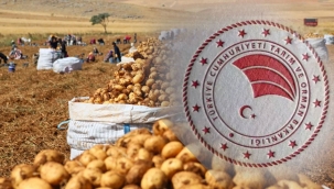 Marketten patates alırken dikkat! Bakanlık ilk kez yayınladı