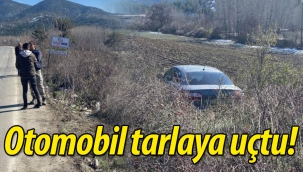 Yoldan çıkan otomobil tarlaya uçtu!