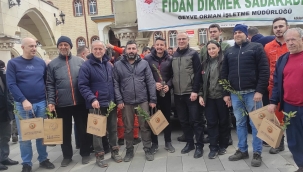 Geyve'de fidan dağıtıldı