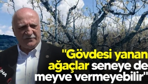 Bayraktar: "Yanmış meyve ağaçları önümüzdeki yıl da ürün vermeyebilir"