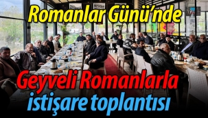Geyve'de Romanlar Günü buluşması