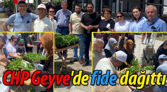CHP Geyve'de fide dağıttı
