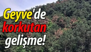 Geyve'de korkutan gelişme