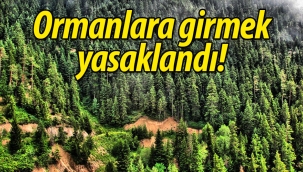 Sakarya'da ormanlara girmek yasaklandı!