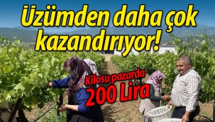 Üzümden daha çok kazandırıyor!
