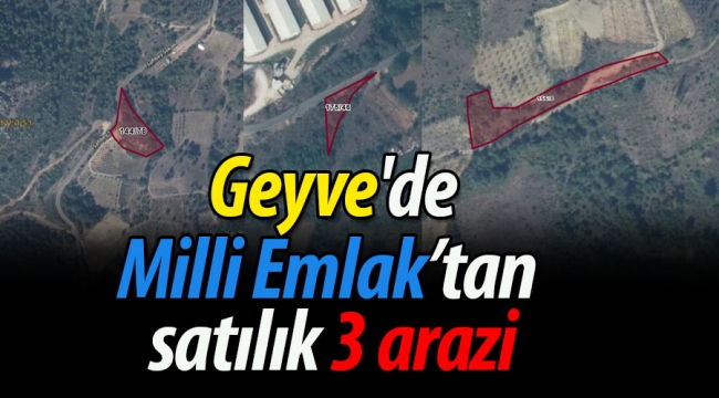 Geyve'de Milli Emlak'tan satılık 3 arazi