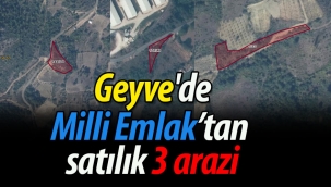 Geyve'de Milli Emlak'tan satılık 3 arazi