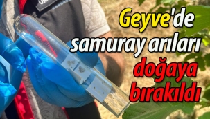 Geyve'de Samuray arılar doğaya salındı