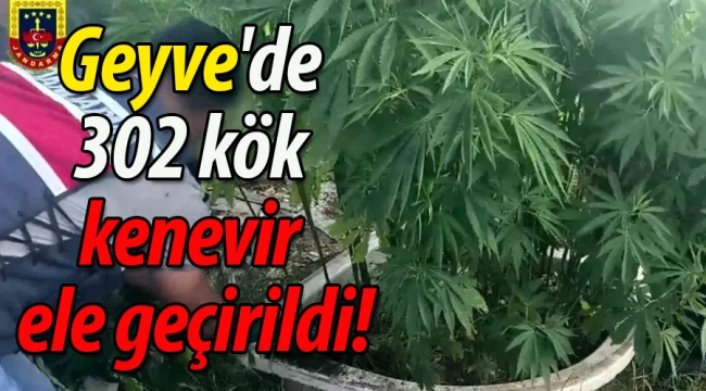 Geyve'de uyuşturucu operasyonu