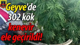 Geyve'de uyuşturucu operasyonu