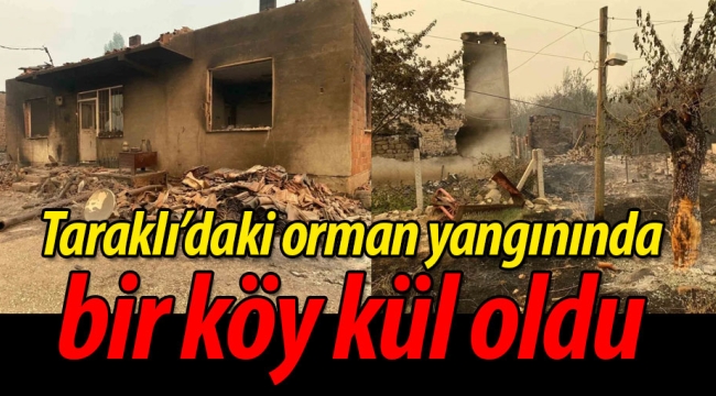 Taraklı'daki orman yangınında bir köy kül oldu
