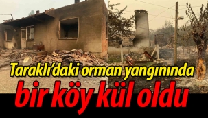 Taraklı'daki orman yangınında bir köy kül oldu