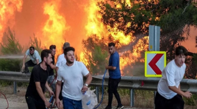 Bursa'daki orman yangınından acı haber