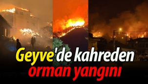 Geyve'de orman yangını