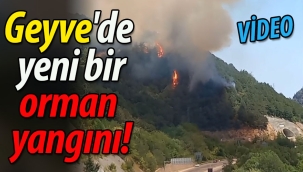Geyve'de yeni bir orman yangını
