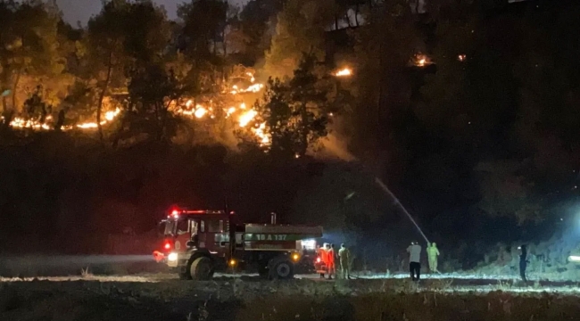 Geyve'deki Orman Yangını Büyüdü: 4 Köy Tahliye Edildi