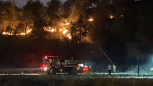 Geyve'deki Orman Yangını Büyüdü: 4 Köy Tahliye Edildi
