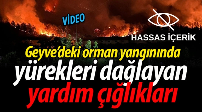Geyve'deki orman yangınında yürekleri dağlayan yardım çığlıkları