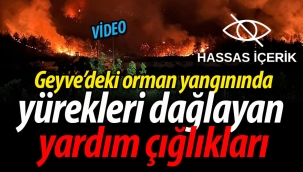 Geyve'deki orman yangınında yürekleri dağlayan yardım çığlıkları