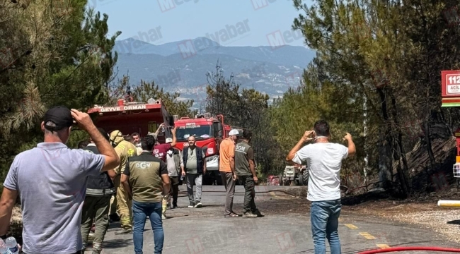 Geyve Hacılar'da beş gün sonra yeniden alevlenen yangın söndürüldü!