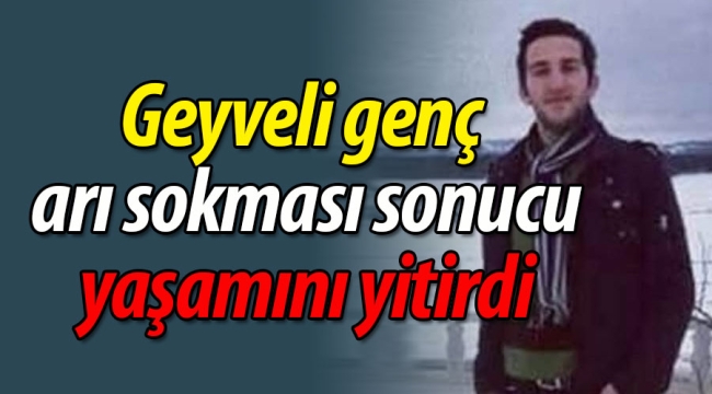 Geyveli genç, arı sokması sonucu yaşamını yitirdi