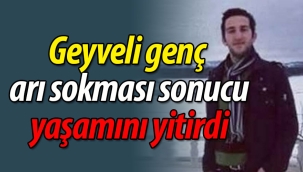 Geyveli genç, arı sokması sonucu yaşamını yitirdi