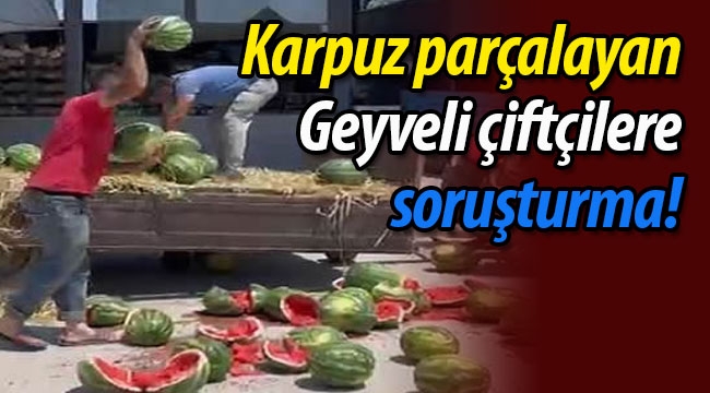 Karpuz parçalayan Geyveli çiftçilere soruşturma!