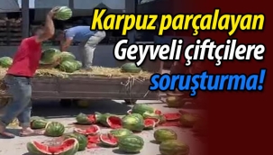 Karpuz parçalayan Geyveli çiftçilere soruşturma!