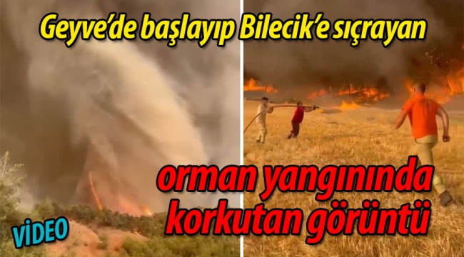 Orman Yangınından Korkutan Görüntü: Alevler Hortum Gibi Yükseldi