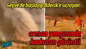 Orman Yangınından Korkutan Görüntü: Alevler Hortum Gibi Yükseldi