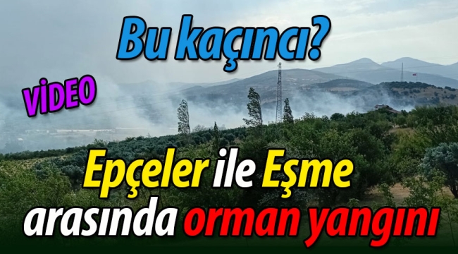 Epçeler ile Eşme arasında orman yangını