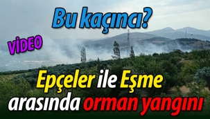 Epçeler ile Eşme arasında orman yangını