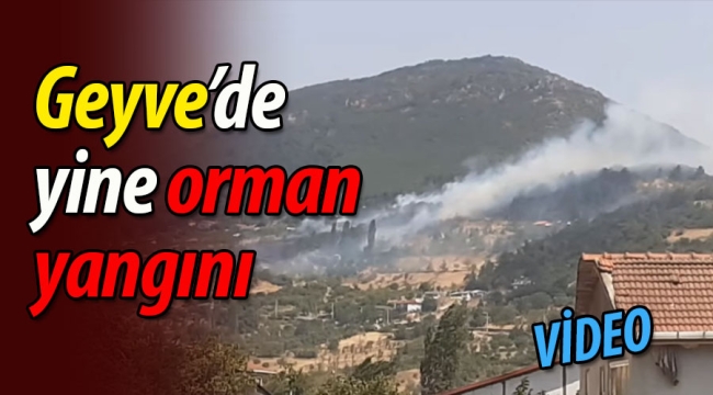 Geyve'de orman yangını