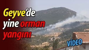 Geyve'de orman yangını