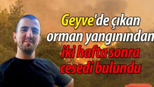 Geyve'deki orman yangınında erkek cesedi bulundu