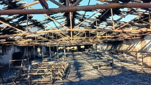 Geyve'deki yangının boyutları ortaya çıktı