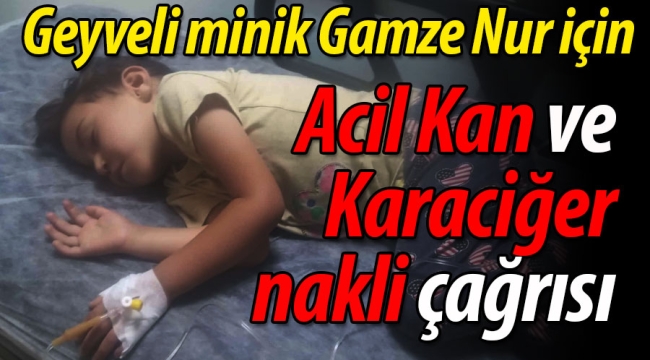 Geyveli minik Gamze Nur için acil kan ve karaciğer nakli çağrısı