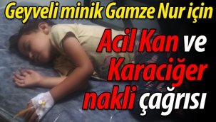 Geyveli minik Gamze Nur için acil kan ve karaciğer nakli çağrısı